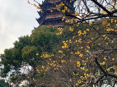 -北寺塔