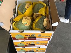 -西郊国际农产品交易中心