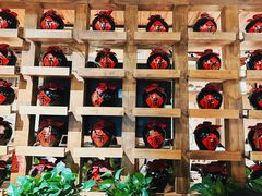 -泥糊破店小酒馆·团建聚餐(南京西路店)