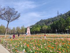 -顺峰山公园