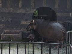 -济南野生动物世界