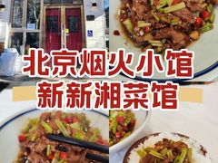-新新湘菜馆(新中街二条店)