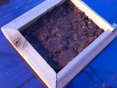 -杨大爹稀豆粉私房菜