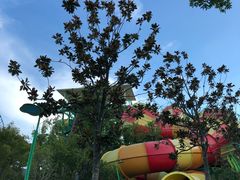 -苏州乐园森林水世界