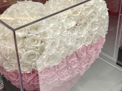 -ROSEONLY诺誓(广州K11店)