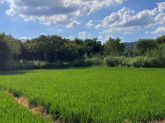-良渚古城遗址公园