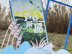 -宁波杭州湾国家湿地公园