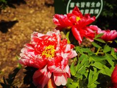 -江南大学(蠡湖校区)