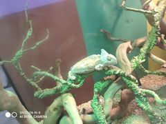 -海合安武汉极地海洋公园