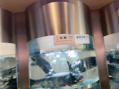 -老船舫·现做活鲜鱼馆(东郊记忆店)