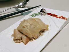 -蝶园·装修中(BFC外滩金融中心店)