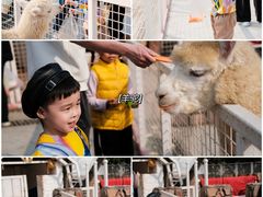 -J Create城市露营咖啡·简餐·宠物(上海动物园店)