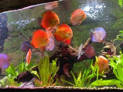 -上海海洋水族馆