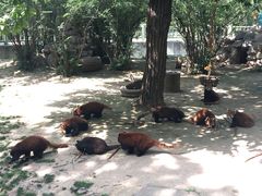 -西安秦岭野生动物园