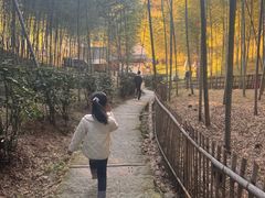 -宁波浙东大竹海景区