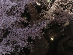 -龙美术馆(西岸馆)
