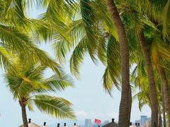 -香香海南菜餐厅