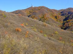 -北京西山国家森林公园