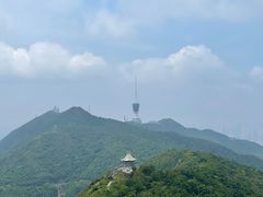 -梧桐山风景名胜区