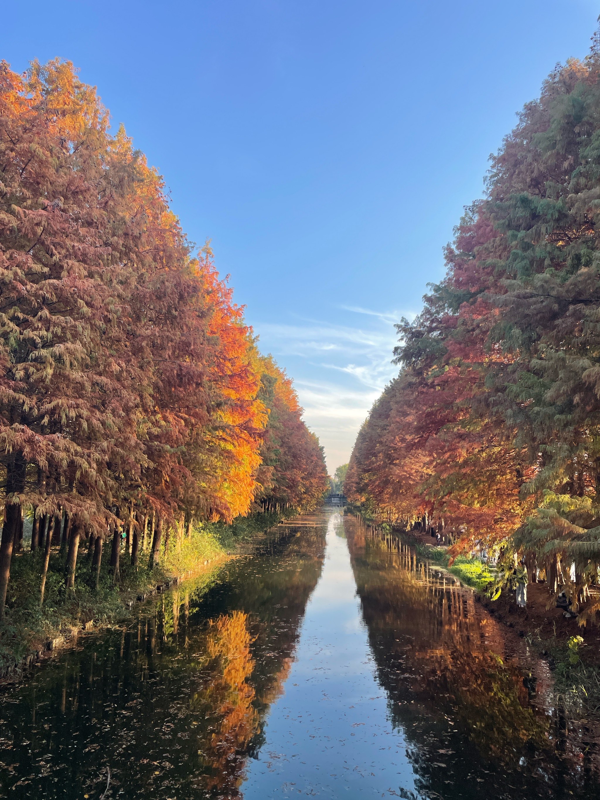 虎丘湿地公园最新规划图片