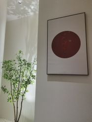 -汉棠汉方·美肤调体