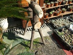 -猫的天空之城概念书店(杭州南宋御街店)