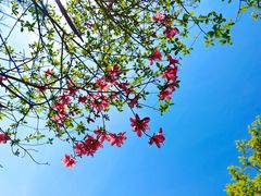 -十九峰景区-倒脱靴