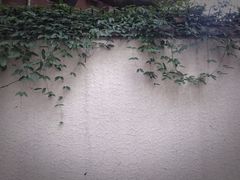 -巴金故居