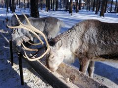 -北极村旅游风景区