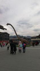 -恐龙探索乐园(磁器口店)
