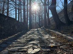 -阳台山自然风景区