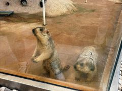 -南戴河国际娱乐中心