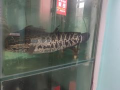 -云鱿记鱿鱼鸡·野生菌火锅(人民南路店)
