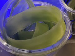 -王家渡火锅店(棕榈泉店)