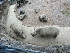 -无锡动物园·太湖欢乐园