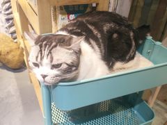 -小时光咖啡馆(开森度假森林店)