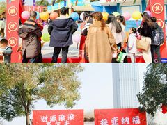 -南湖梦幻岛