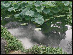 -北寺塔