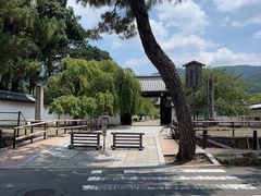 -醍醐寺
