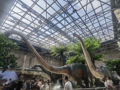 -国家自然博物馆