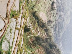 -紫鹊界梯田景区