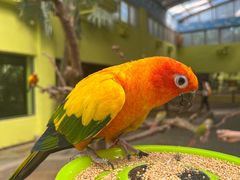 -北京野生动物园