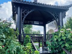 -樂桃源奉贤黄桃种植采摘基地