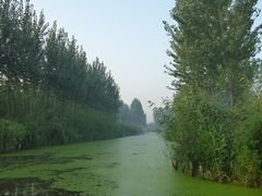 -白洋淀景区