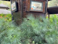 -明月山天沐温泉度假村