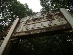 -蒋氏故居