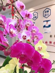 点击看大图 -丽美妍医疗美容·皮秒·立体分层抗衰