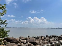 -上海吴淞炮台湾国家湿地公园