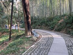 -云栖竹径