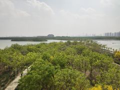 -天津东丽湖风景区